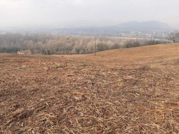 Foto Vendesi terreno agricolo a Bologna
