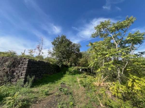 Foto Vendesi terreno agricolo a Santa Venerina strada provinciale