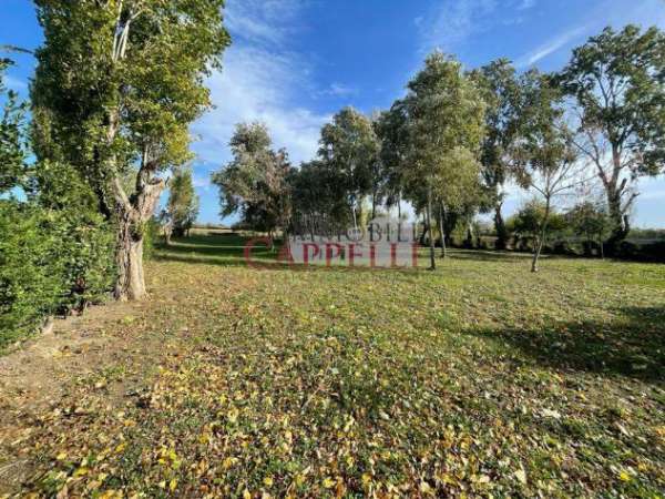 Foto Vendita Terreno agricolo da 4932 mq  in Via Emilia per Cesena con giardino