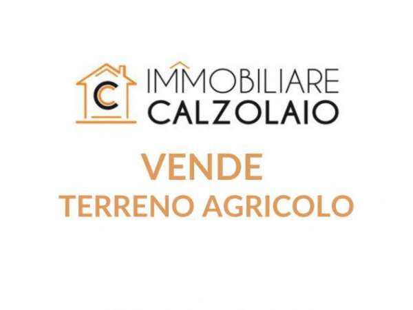 Foto VENDITA TERRENO AGRICOLO GROTTAGLIE