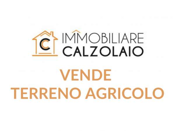 Foto VENDITA TERRENO AGRICOLO ZONA INDUSTRIALE  GROTTAGLIE