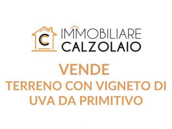 Foto VENDITA TERRENO CON VIGNETO C.DA MONTEVERDE GROTTAGLIE