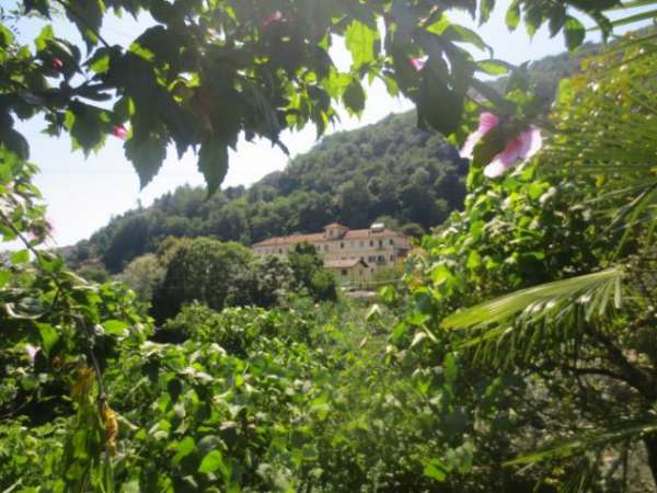 Foto Verbania  - ZONA PALLANZA VENDESI APPARTAMENTO