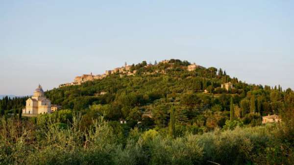 Foto Vigneto in vendita a Montepulciano (Siena)