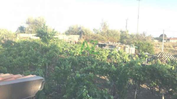 Foto Vigneto in vendita a Tremestieri Etneo