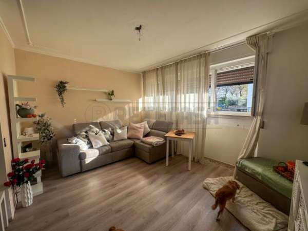 Foto Villa a schiera in vendita a Palmanova