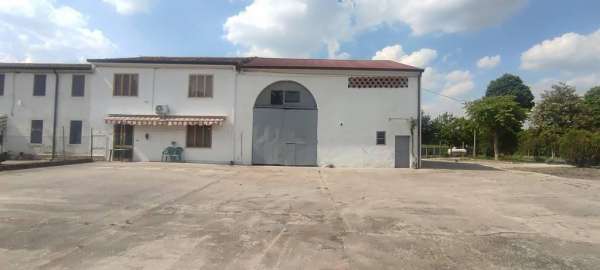Foto Villa bifamiliare in vendita a Cerea