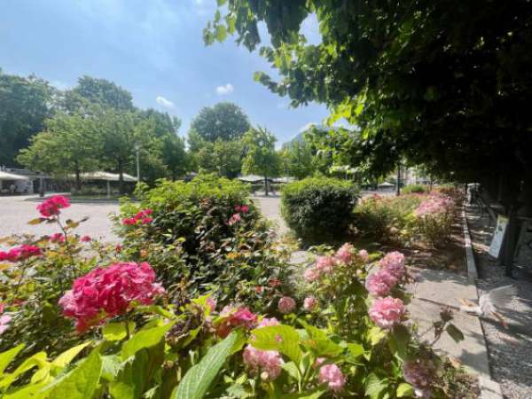 Foto Villa di 300 m con pi� di 5 locali in vendita a Como