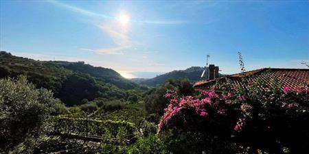 Foto Villa in Vendita, 4 Locali, 100 mq, Belvedere Marittimo