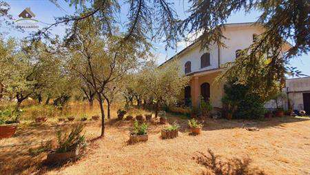 Foto Villa in Vendita, 6 Locali, 4 Camere, 320 mq (MONTECARLO)