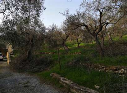 Foto Villa in Vendita, pi� di 6 Locali, 309,48 mq, Imperia