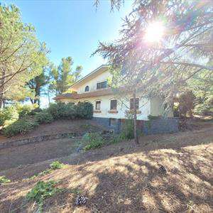 Foto Villa in Vendita, pi� di 6 Locali, pi� di 6 Camere, 350 mq (NICO
