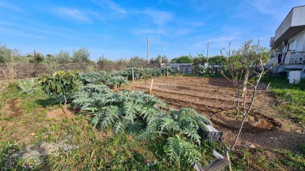 Foto Villa in vendita a Capurso