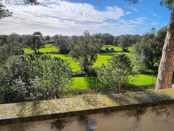 Foto Villa in vendita a Cecina 300 mq  Rif: 1326411