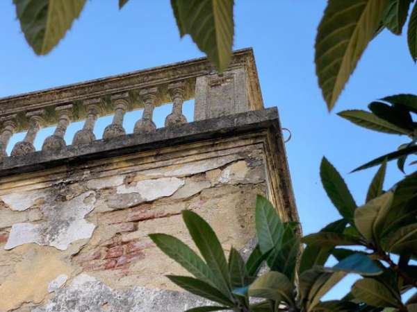 Foto Villa in vendita a Cerreto Guidi 300 mq  Rif: 1067684