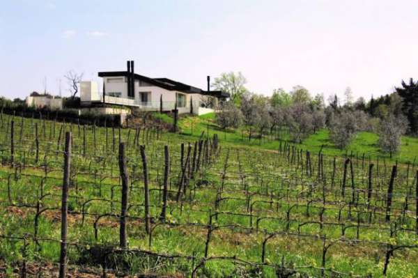 Foto Villa in vendita a La Rotta - Pontedera 300 mq  Rif: 1326314