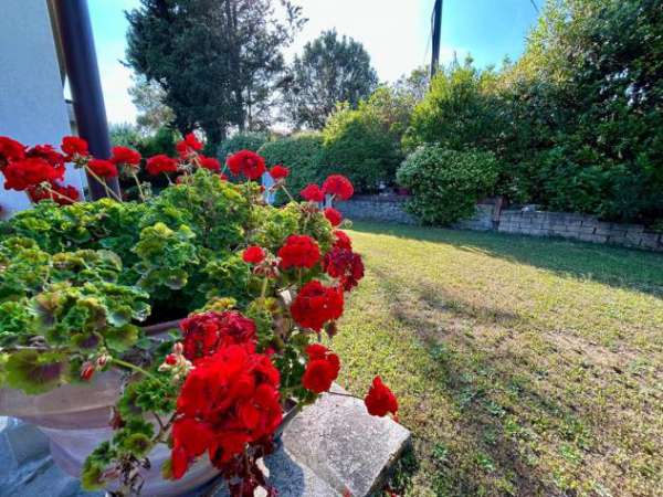 Foto Villa in vendita a Montelupo Fiorentino 195 mq  Rif: 1271823