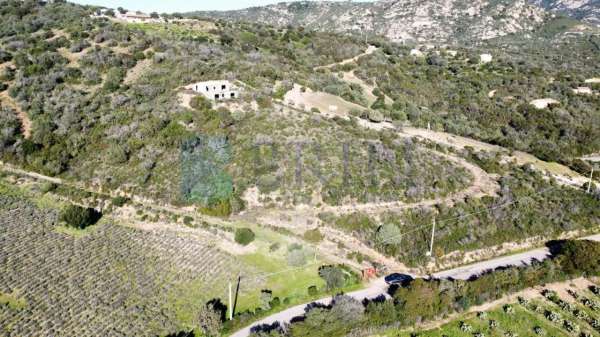 Foto Villa in vendita a Olbia