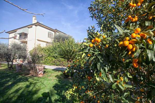Foto Villa in vendita a Pontasserchio - San Giuliano Terme 300 mq  Rif: 1243305