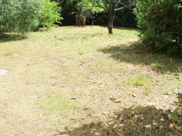 Foto Villa in vendita a Pontedera 300 mq  Rif: 977923