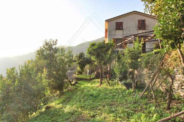 Foto Villa in vendita a Rapallo